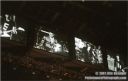 Photo ID: 010409r3-01 Photo ID: 010409r3-01