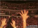 Photo ID: 011115r2-24 Photo ID: 011115r2-24