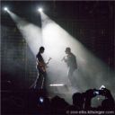 Photo ID: 061119d1-0530 Photo ID: 061119d1-0530